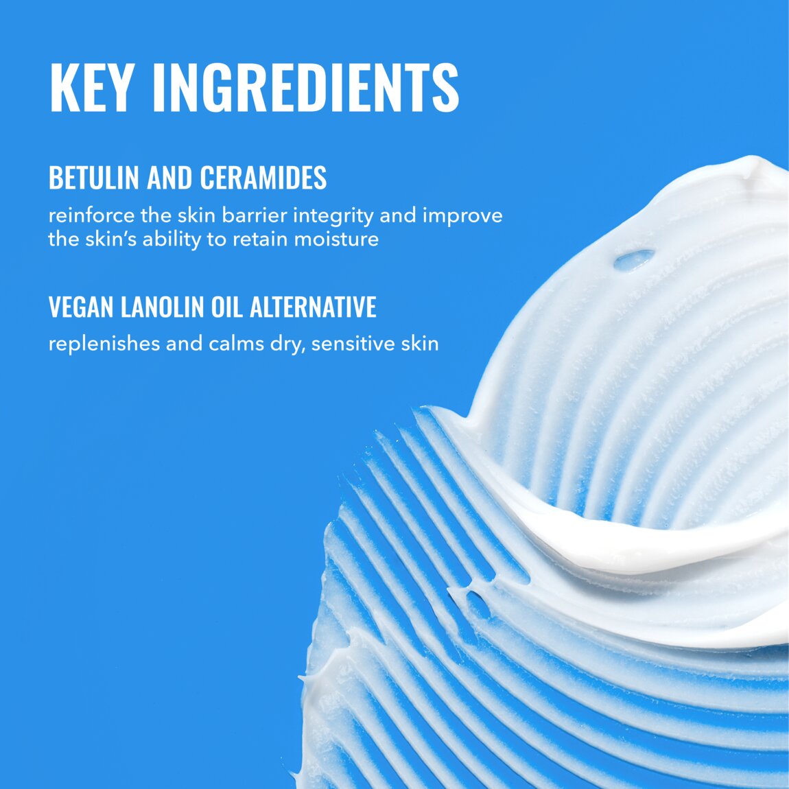 Rich Cream with Ceramides